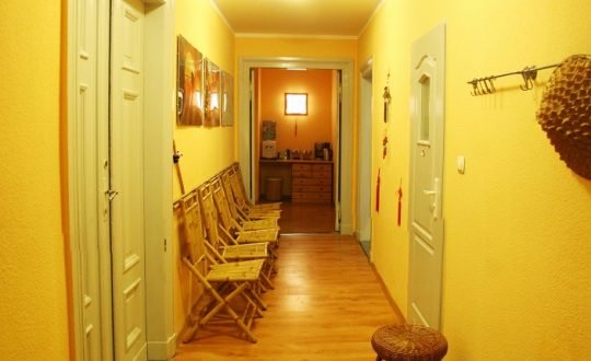 od_srodka_5_pandamo_poznan_jezyk_koreanski_japonski_chinski